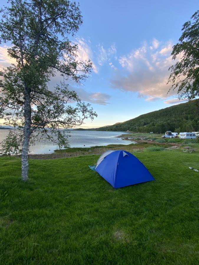 Ballangen Camping 호텔 나르비크 외부 사진